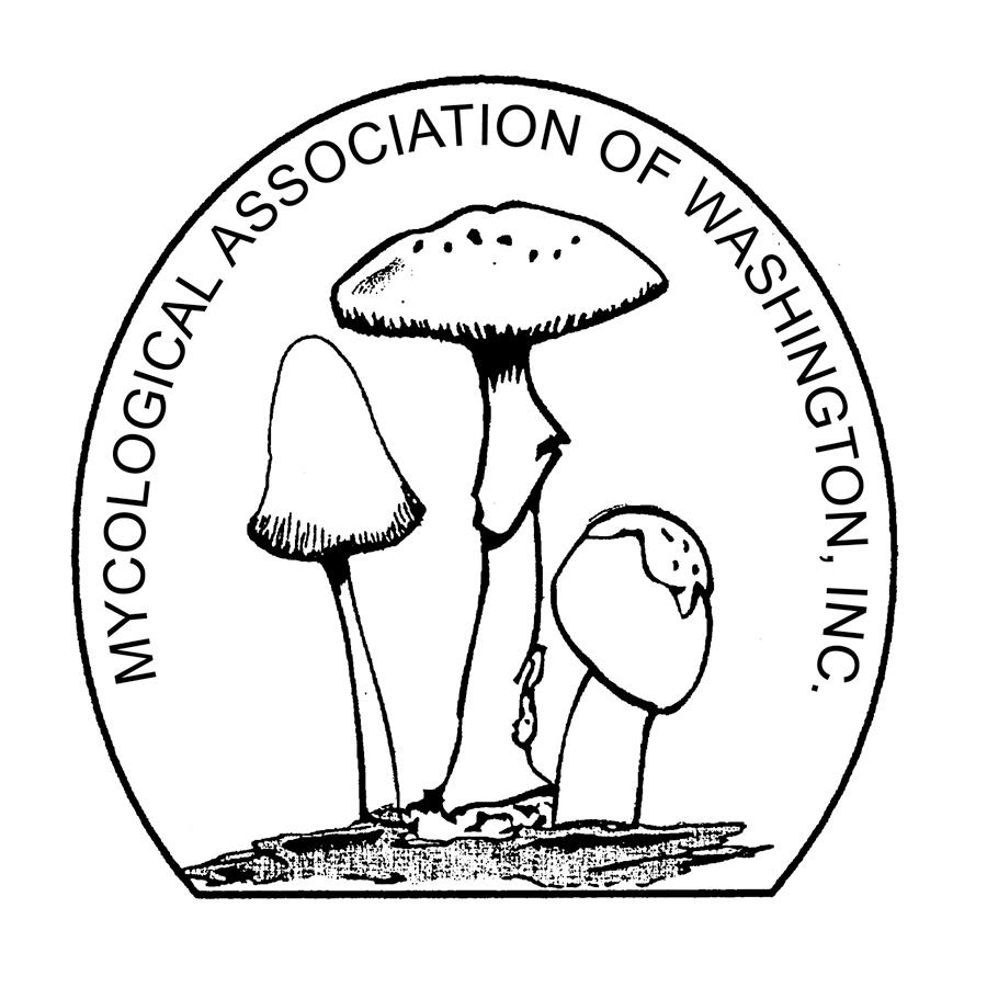 logo for Mycological Association of Washington, DC